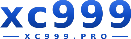 xc999 logo